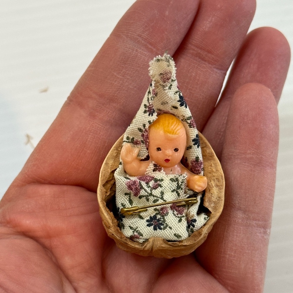 Baby in walnut shell tiny
